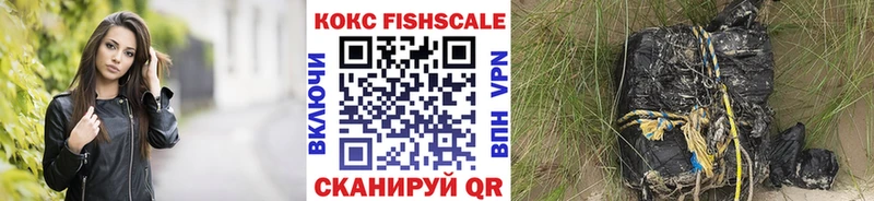 как найти закладки  Демидов  Кокаин FishScale 
