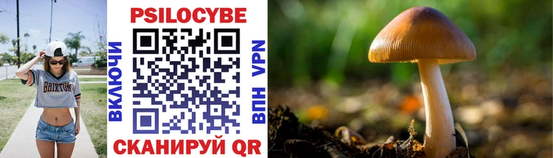 Псилоцибиновые грибы Psilocybe  МЕГА tor  Демидов 